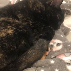 Meet your Posher, Samantha